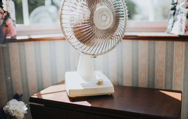 Why You Should Buy 20 Inch Metal Floor Fan in Holmen WI for Indoor Garden