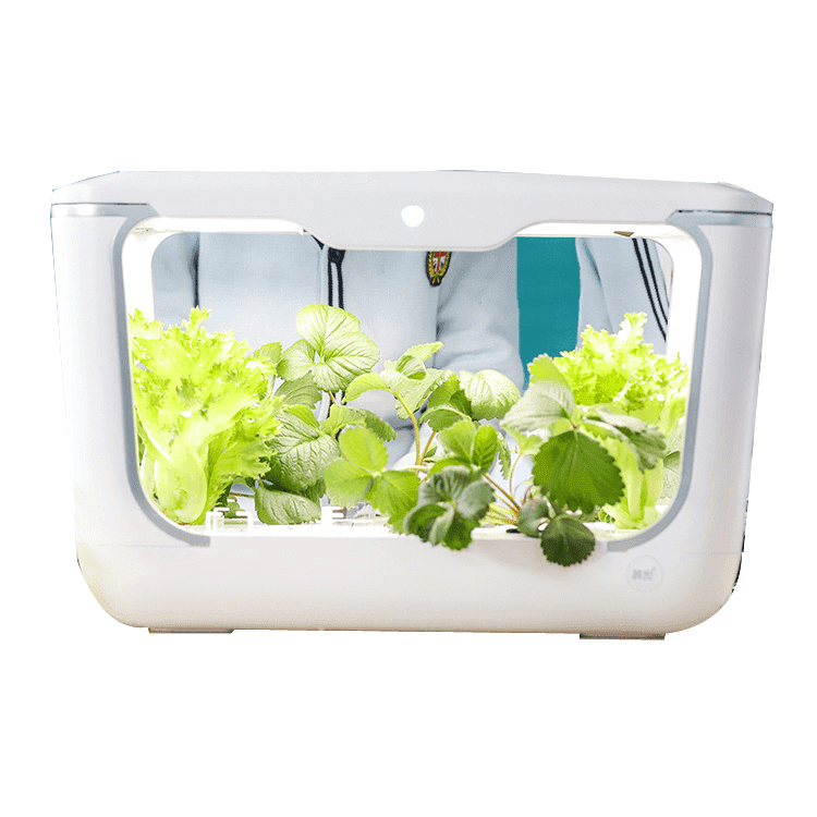 Led Indoor Garden Hydroponic Growing System