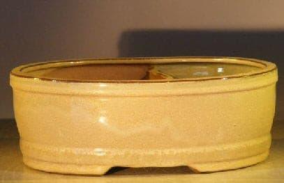 Beige Ceramic Bonsai Pot   Land/Water Divider   10" x 8" x 3.75" - Bonsaiworldllc
