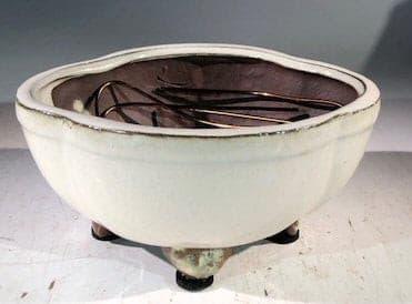 Beige Ceramic Bonsai Pot - Lotus Shaped  Professional Series   6" x 4" x 2" - Bonsaiworldllc