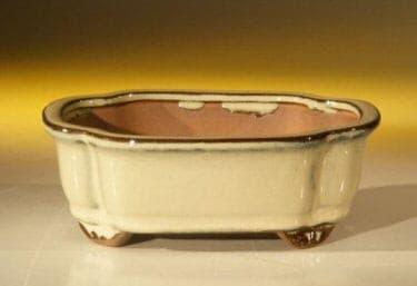 Beige Ceramic Bonsai Pot - Rectangle   6.125" x 5.0" x 2.125" - Bonsaiworldllc
