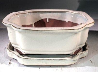 Beige Ceramic Bonsai Pot - Rectangle With Humidity Drip Tray 8" x 6" x 3" - Bonsaiworldllc