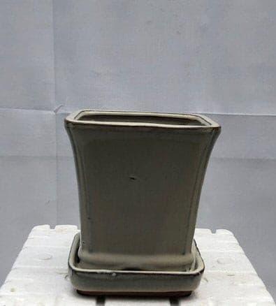 Beige Ceramic Bonsai Pot Square With Attached Humidity / Drip Tray   5.25" x 5.25" x 5.5" - Bonsaiworldllc