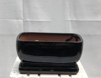 Black Ceramic Bonsai Pot- Rectangle  Professional Series With Attached Humidity/Drip Tray  8.25" x 6.0" x 4.0" - Bonsaiworldllc