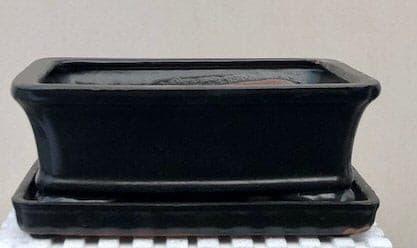 Black Ceramic Bonsai Pot - Rectangle With Humidity Drip Tray 8.5" x 6.5" x 3" - Bonsaiworldllc