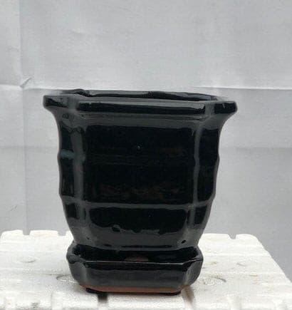 Black Ceramic Bonsai Pot - Square  With Attached Humidity / Drip Tray 5.5" x 5.5" x 5.5" - Bonsaiworldllc