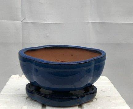 Blue Ceramic Bonsai Pot -Lotus Shaped With Attached Humidity Drip Tray 6.25" x 5.25" x 3.5" - Bonsaiworldllc