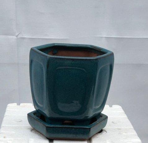 Blue / Green Ceramic Bonsai Pot - Hexagon With Attached Humidity Drip Tray 5.5" x 5.5" x 5.5" - Bonsaiworldllc