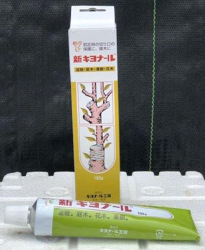 Bonsai Wound / Cut Paste Dressing - 100 Gram Tube   Seals Bonsai Tree Wounds - Bonsaiworldllc