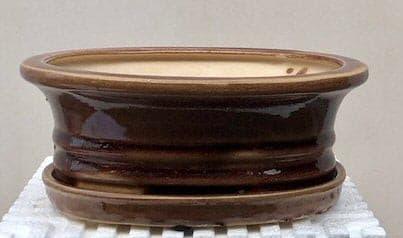 Bronze Ceramic Bonsai Pot - Oval With Humidity Drip Tray 8.5" x 7" x 3" - Bonsaiworldllc